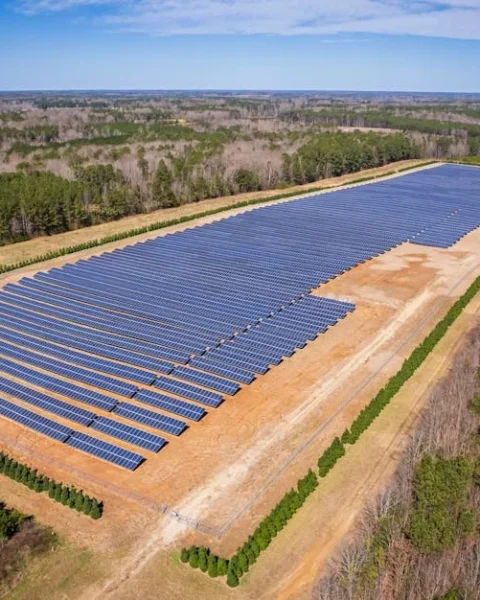 how to maintain solar panels naturally for maximum efficiency