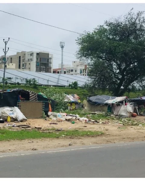 Cost of Solar Panels in India: What to Expect