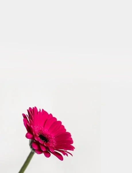 Explore the best smartwatches with long battery life