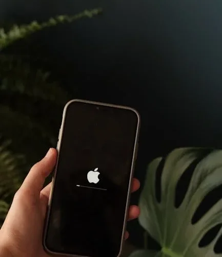 The update review after firmware update reveals hidden bugs