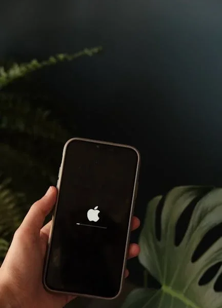 The update review after firmware update reveals hidden bugs