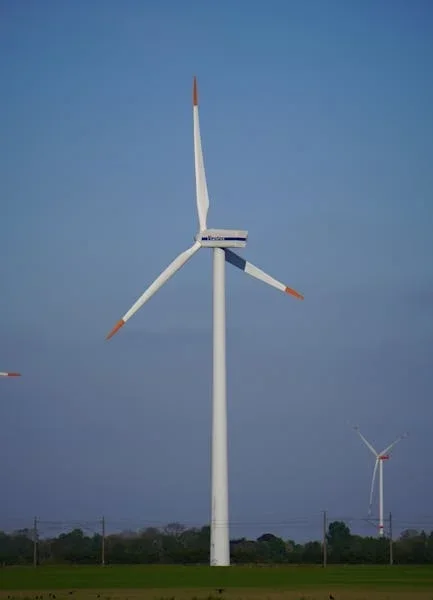 Climate Change and Renewable Energy: A Future Together