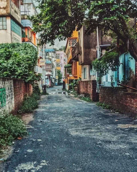 Top Air Purifier Review Indian Homes for 2024