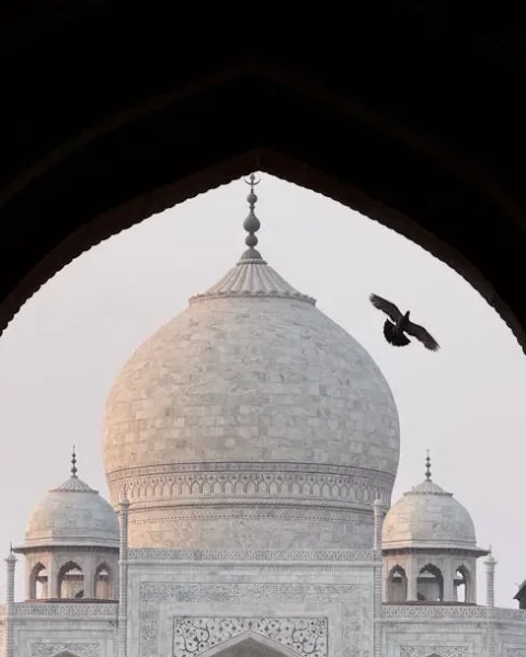 Are Tech Gadgets Worth the Price in India? Buy Smart Tips