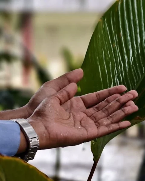 Best Water Purifier Review India 2024