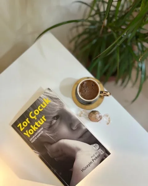 Key Differences in Our Comparison Article Between Versions