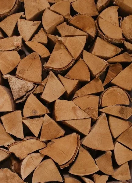 biomass energy explained for sustainable living